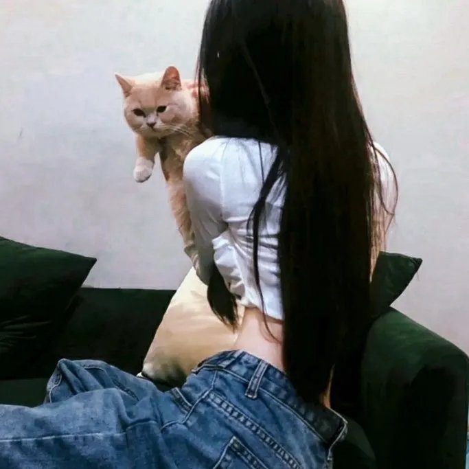 福伯